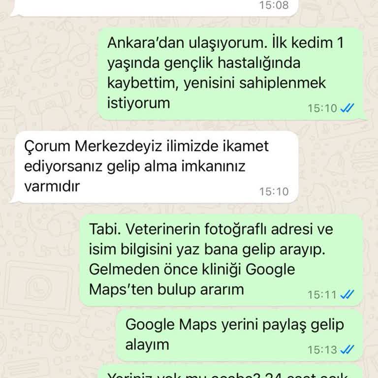 Kedicikdostutr Güvenliğiniz İçin Dikkat: Sakıncalı Pet Sahiplendirme Sayfası
