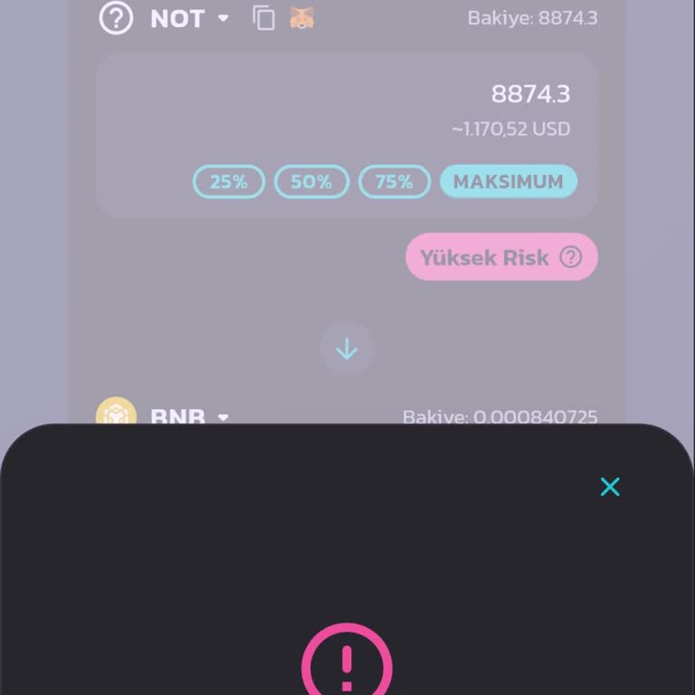 Binance Üzerinden Pancakeswap İle Not Coin Aldım Ama Satış Yapılmıyor.