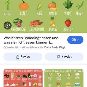 Migros Sanal Market Sipariş