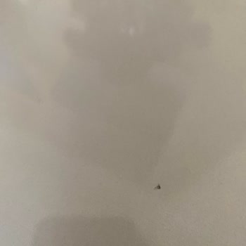 Gündoğdu Mobilya Yeni Evlilikte Koltuk Hayal Kırıklığı