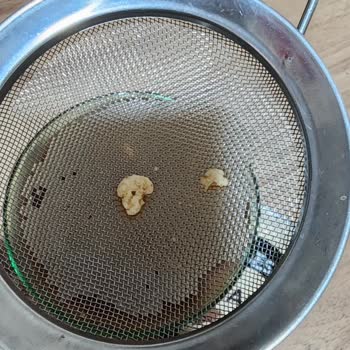 Obsesso İçecek İçinden Farklı Madde Çıktı