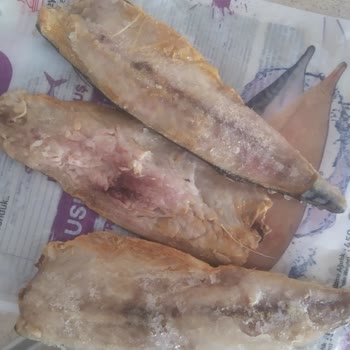 Balık Dünyası Bozuk Balık Satıyor