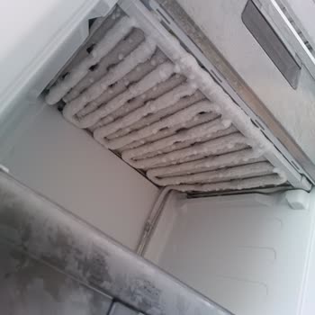 Arçelik Dondurucu Karlanma Yapıyor Ürünleri Bozuyor, Çözüm Bulan Yok