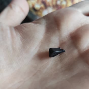 Eti Gıda Lifalif Granola'dan Siyah Plastik Çıktı