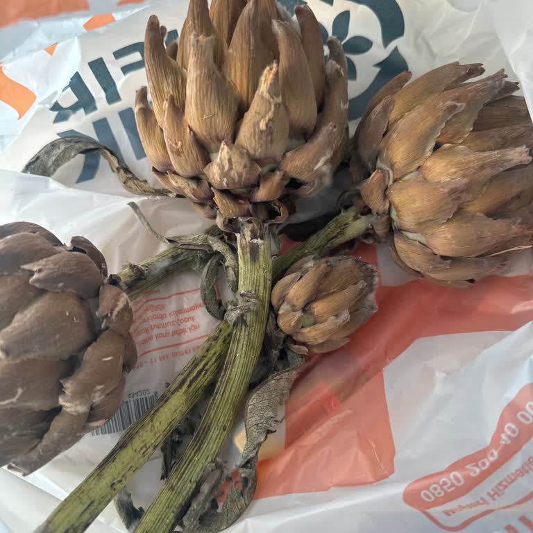 Migros Sanal Market İadeyi Almıyor
