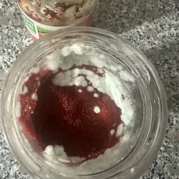 Bosch Buzdolabının İçinde Salça Küfleniyor.