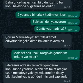 Kedicikdostutr Dikkat: Sosyal Medya Üzerinden Yanıltıcı İlanlar!