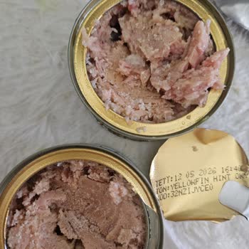 Dardanel Zeytinyağlı Ton Balığı Üzerinde Beyaz Noktalar