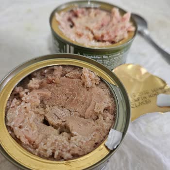 Dardanel Zeytinyağlı Ton Balığı Üzerinde Beyaz Noktalar