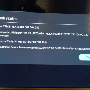 Philips TV Kablolu Olarak İnternete Bağlanmıyor
