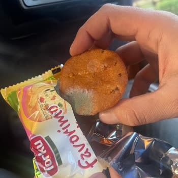 Yerli Marka Torku Küflü Kek