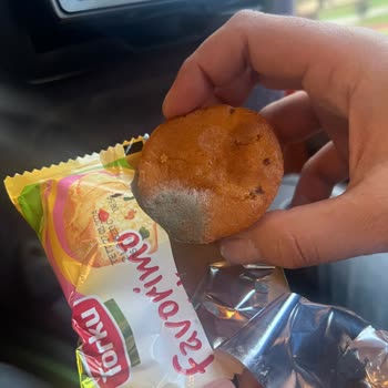 Yerli Marka Torku Küflü Kek