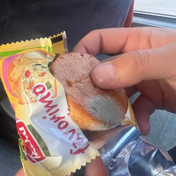 Yerli Marka Torku Küflü Kek