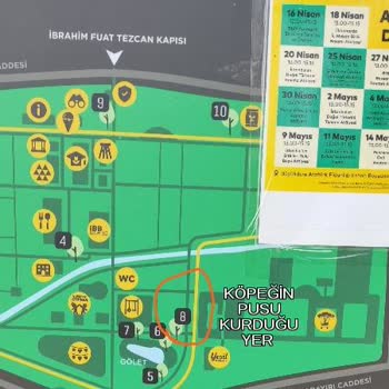 Sarıyer Belediyesi Büyükdere Atatürk Fidanlığın Köpek Sorunu