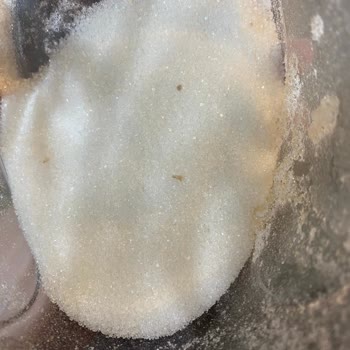 Balküpü Şeker Şikayeti İçerisinde Taş Gibi Şeyler Var