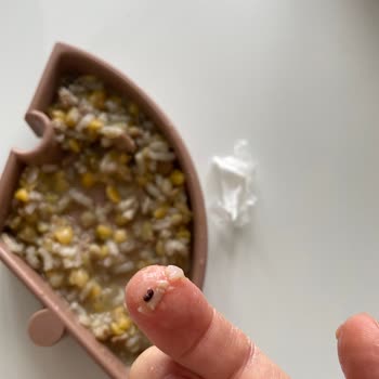 Dola Gıda Dola Marka Pilavlık Karışımdan Böcek Çıktı