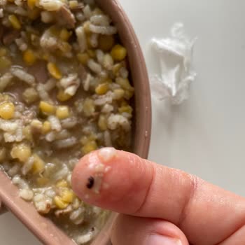 Dola Gıda Dola Marka Pilavlık Karışımdan Böcek Çıktı