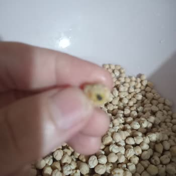 BİM Sağlığımızı Tehdit Eden Market Ürünleri!