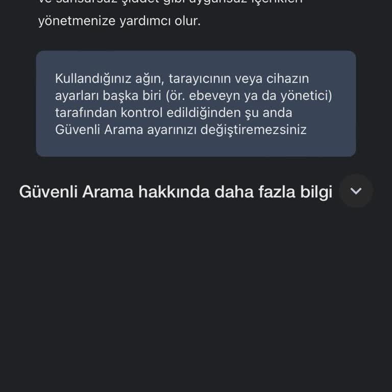 Google Güvenli Arama