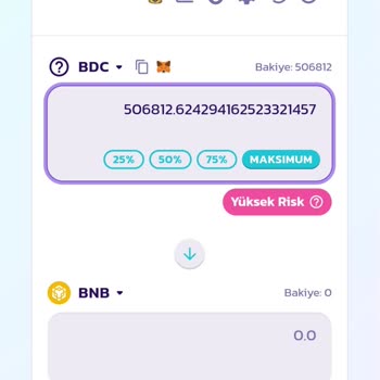 Pancakeswap Coin Halka Arz