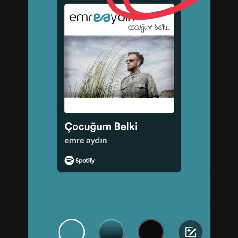 Spotify'daki Şarkı Başka Platformda Paylaşıldığında Sesi Açılamıyor