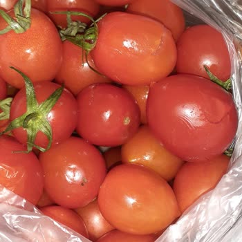 Migros Meyve Sebze Çürük Ürünler