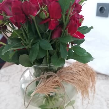 Taze Çiçek (tazecicek.com)  Sipariş Sıkıntısı!