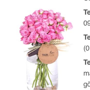 Taze Çiçek (tazecicek.com)  Sipariş Sıkıntısı!