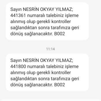 İBB - İstanbul Büyükşehir Belediyesi İstanbul Sancaktepe Belediye'nin Hasta Kedilere Ekip Göndermemesi