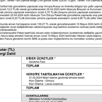 Lanai Web Services Faturamda İkinci Kez Görünen Haksız Ücret Talebi