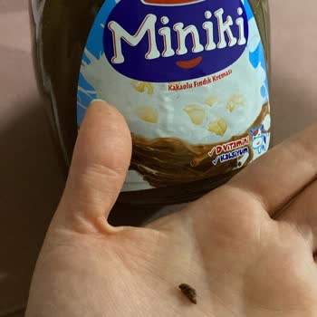 A101 Torku Miniki İçinden Böcek Çıktı.