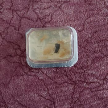 Koska Mahir Gıda Koska Reçelinde Şaşırtıcı Cisim!