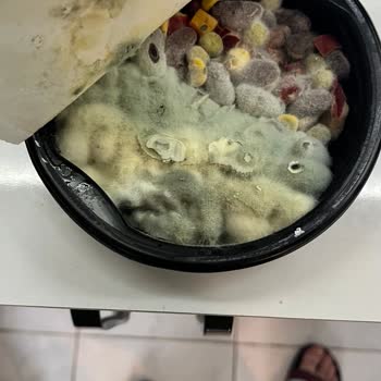 Tat Meksika Bowl Yemek Sepeti