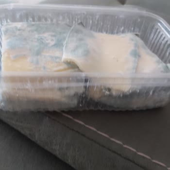 Arçelik Buzdolabı Baş Ağrıttı: Sürekli Arızalar Ve Küflenen Gıdalar