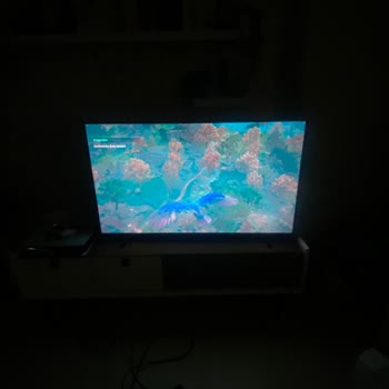 Vestel'in Değişim Talebimi Kabul Etmemesi