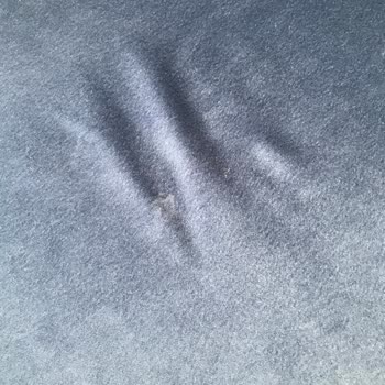 Ewissa Mobilya & Tasarım Tüm Eşyalarımın Kalitesi Kötü Şimdiden 1 Yıl Olmadan Esneme Oldu