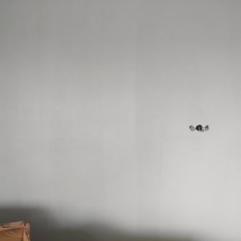 DYO Boya Adana'da Rulo İzi Bırakan Boya Ve Usta Mağduriyeti