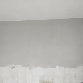 DYO Boya Adana'da Rulo İzi Bırakan Boya Ve Usta Mağduriyeti