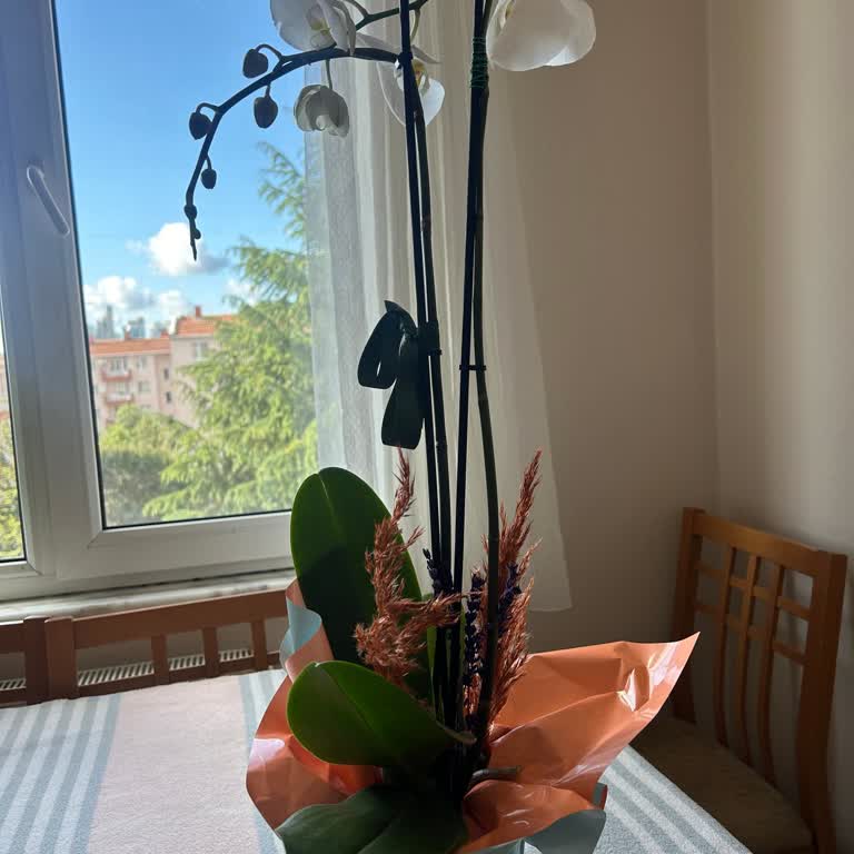 Çiçek Sepeti Şikayet