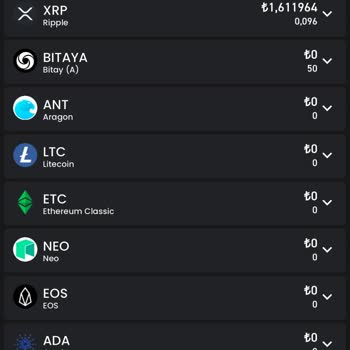 Bitay Çekim Tutarım Hesabıma Gelmedi