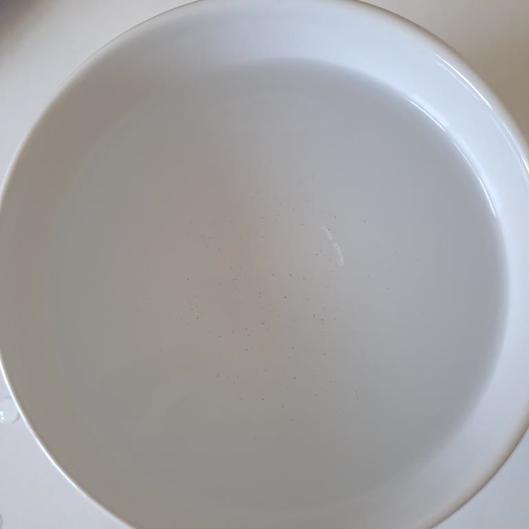 Brita Sürahinin Filtresindeki Kum Taneleri Suya Karışıyor.