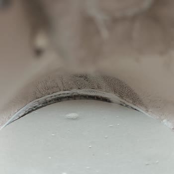 Dgn Ayakkabı Malının Arkasında Durmadı