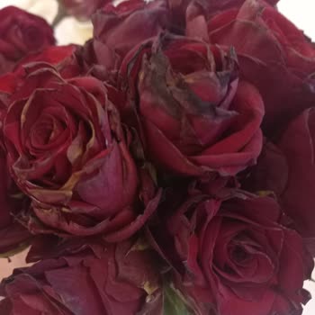 Çiçek Sepeti Mağduru Ve Müşteri Hizmetlerinden Aranmamak