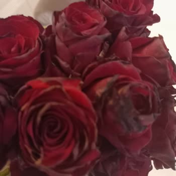 Çiçek Sepeti Mağduru Ve Müşteri Hizmetlerinden Aranmamak