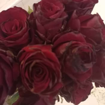 Çiçek Sepeti Mağduru Ve Müşteri Hizmetlerinden Aranmamak