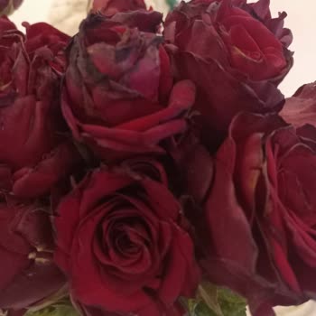 Çiçek Sepeti Mağduru Ve Müşteri Hizmetlerinden Aranmamak