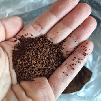 Coffee Bean Box Kahvem Çöpe Gitti