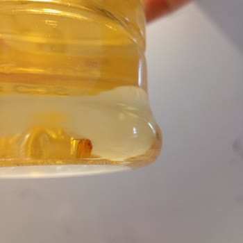 Albir Gross Yeni Kavaklıdere Elma Sirkesi Sinekleri