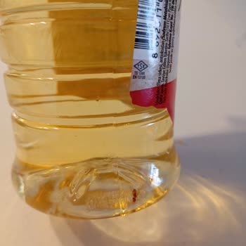 Albir Gross Yeni Kavaklıdere Elma Sirkesi Sinekleri