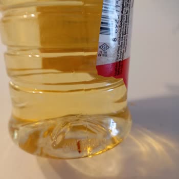 Albir Gross Yeni Kavaklıdere Elma Sirkesi Sinekleri